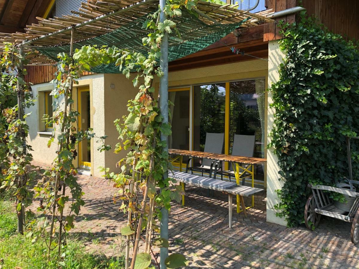 Gut Muellerleile Appartement Gengenbach Buitenkant foto